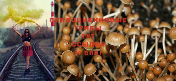 героин Алексин